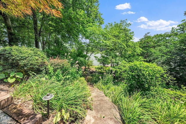 115 Loch Vale Ln, Cary, NC 27518 - view of yard