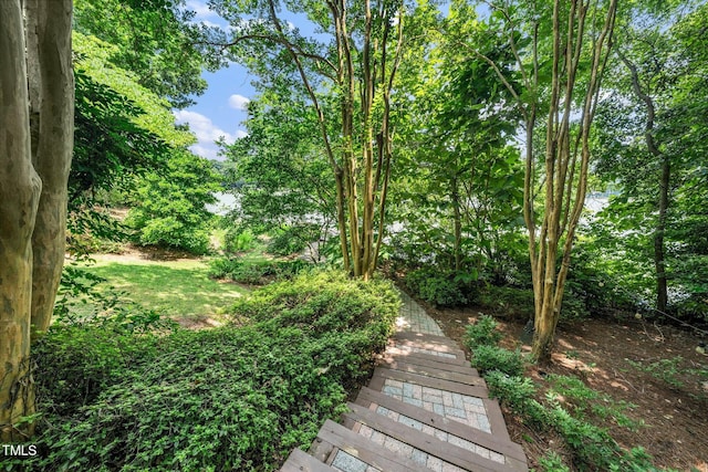 115 Loch Vale Ln, Cary, NC 27518 - view of yard