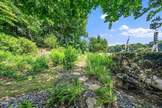115 Loch Vale Ln, Cary, NC 27518 - view of yard
