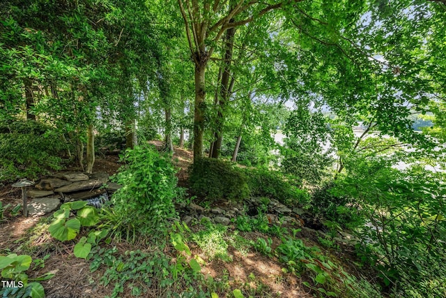 115 Loch Vale Ln, Cary, NC 27518 - view of local wilderness