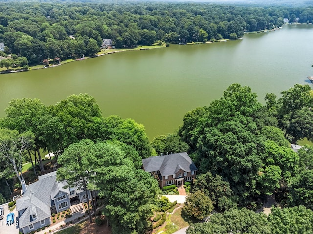 115 Loch Vale Ln, Cary, NC 27518 - bird's eye view of a nearby body of water and a forest