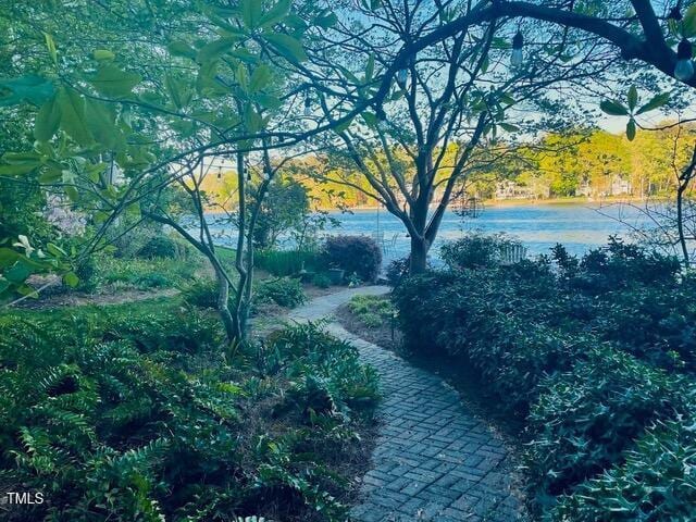115 Loch Vale Ln, Cary, NC 27518 - surrounding community with a water view