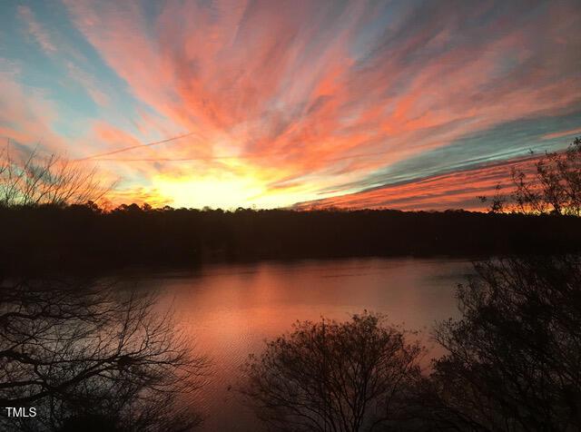 115 Loch Vale Ln, Cary, NC 27518 - water view with a forest
