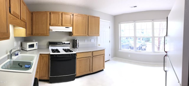 303 Saint Thomas Dr, Chapel Hill, NC 27517 - kitchen featuring white appliances, under cabinet range hood, light countertops, and plenty of natural light
