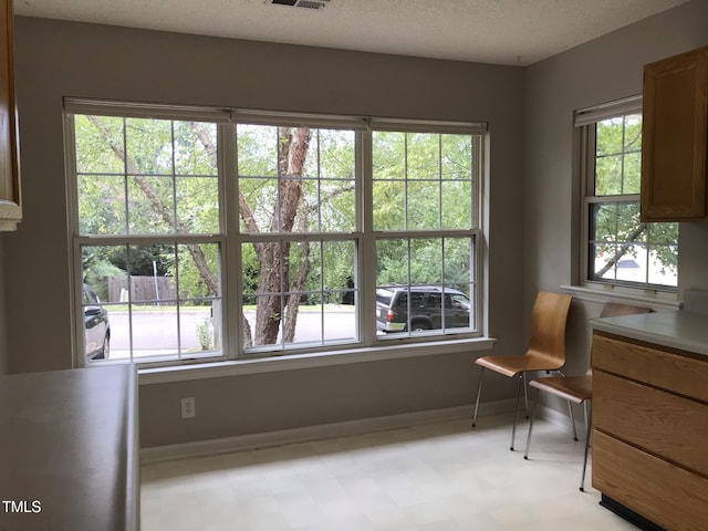 303 Saint Thomas Dr, Chapel Hill, NC 27517 - sitting room with light floors, plenty of natural light, and a textured ceiling