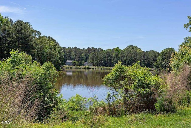 303 Saint Thomas Dr, Chapel Hill, NC 27517 - water view featuring a forest