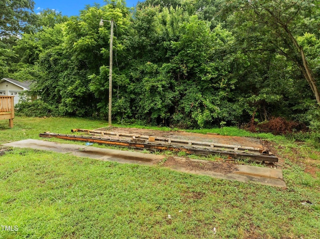 527 Cornelius St, Hillsborough, NC 27278 - photo 39