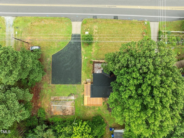 527 Cornelius St, Hillsborough, NC 27278 - photo 43