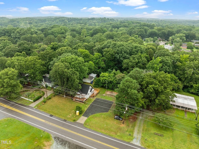 527 Cornelius St, Hillsborough, NC 27278 - photo 45