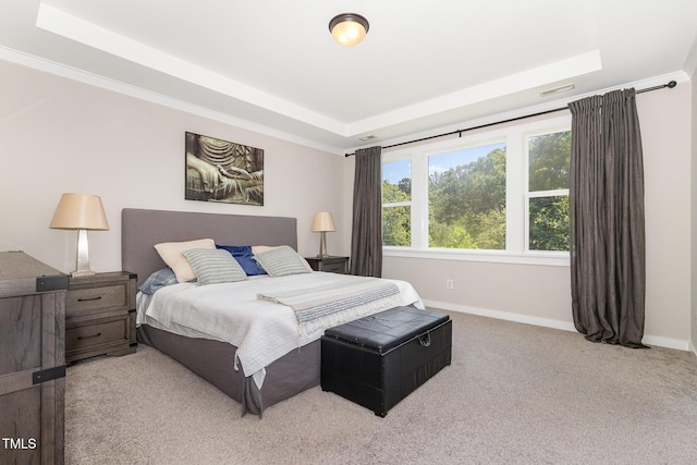 1502 Spring Overlook Ln, Hillsborough, NC 27278 - bedroom featuring a raised ceiling and carpet flooring