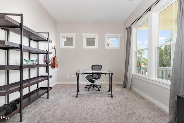 1502 Spring Overlook Ln, Hillsborough, NC 27278 - carpeted home office with plenty of natural light