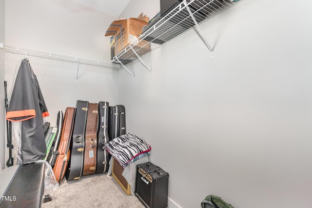 1502 Spring Overlook Ln, Hillsborough, NC 27278 - walk in closet featuring light colored carpet