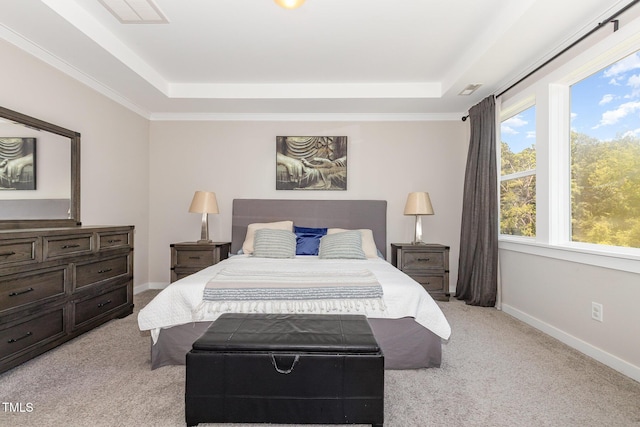 1502 Spring Overlook Ln, Hillsborough, NC 27278 - bedroom with a tray ceiling and light carpet