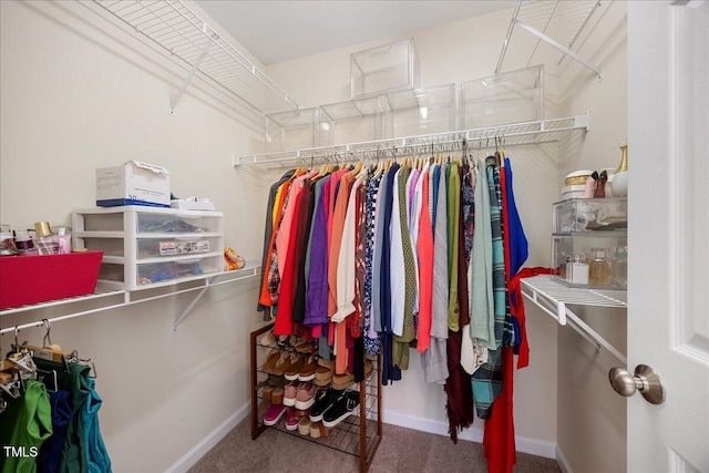 4041 Laurel Glen Dr, Raleigh, NC 27610 - photo 12