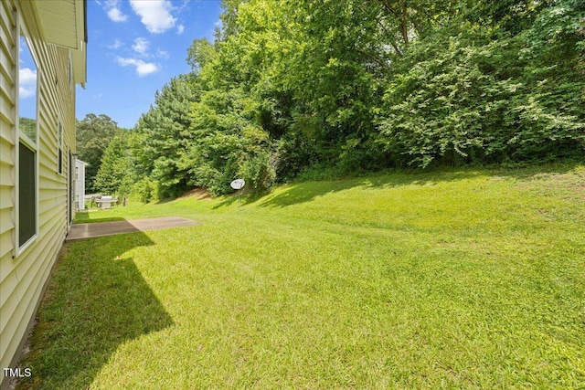 4041 Laurel Glen Dr, Raleigh, NC 27610 - photo 18