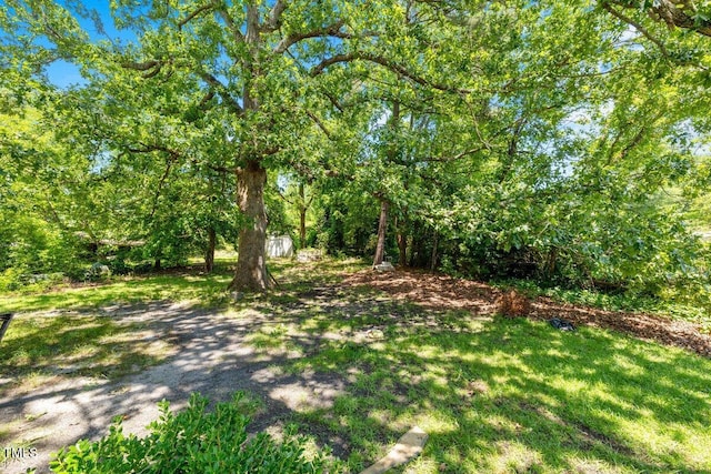 209 E Church St, Creedmoor, NC 27522 - photo 16