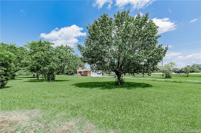 11821 N NC Highway 41, Lumberton, NC 28358 - view of green lawn