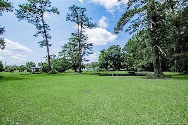 11821 N NC Highway 41, Lumberton, NC 28358 - view of property's community with a water view and a lawn