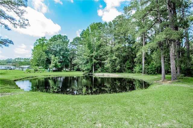 11821 N NC Highway 41, Lumberton, NC 28358 - water view