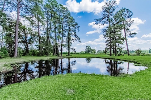 11821 N NC Highway 41, Lumberton, NC 28358 - water view