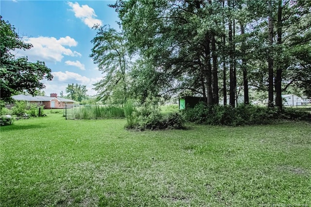 11821 N NC Highway 41, Lumberton, NC 28358 - view of grassy yard