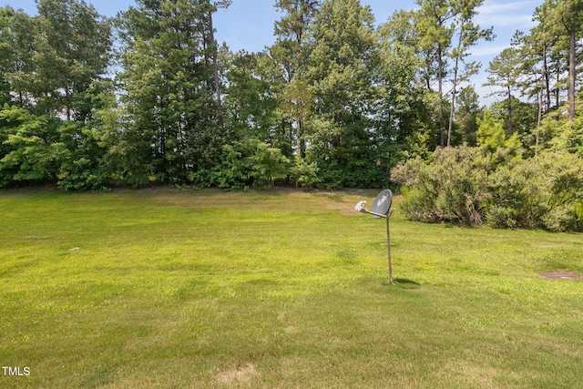 3417 Cardinal Lake Dr, Durham, NC 27704 - view of green lawn