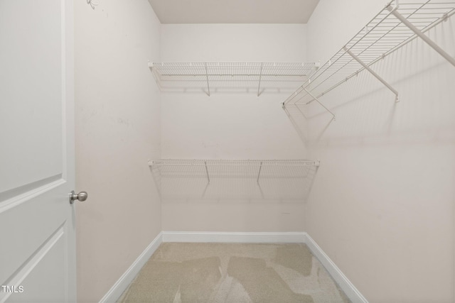 2022 Chandler Village Dr, Graham, NC 27253 - spacious closet with light carpet