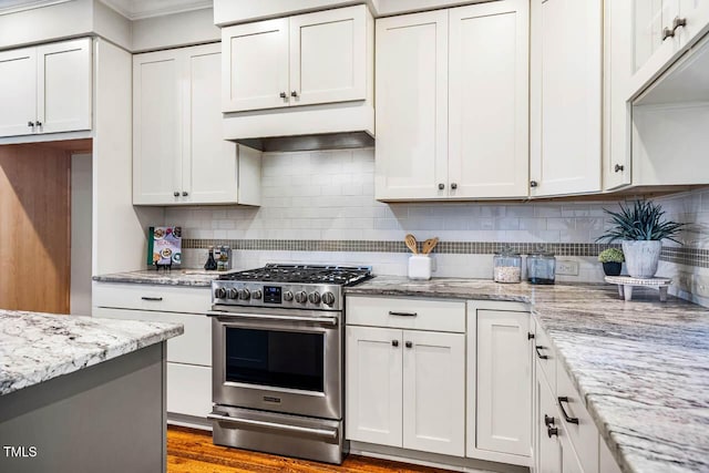 262 Salt Cedar Ln, Chapel Hill, NC 27516 - kitchen with stainless steel range with gas stovetop, white cabinets, tasteful backsplash, light stone countertops, and wood finished floors