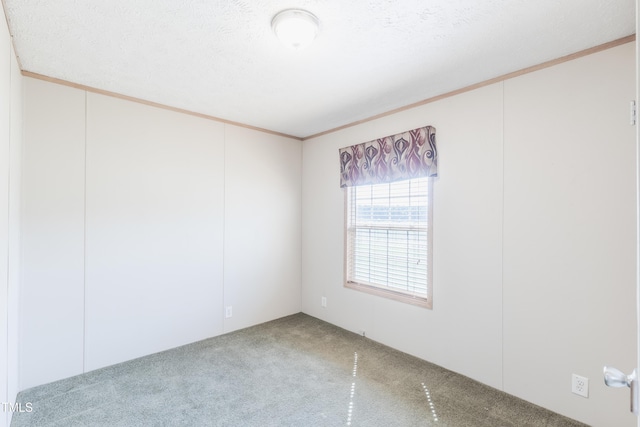 451 Rawls Rd, Aulander, NC 27805 - carpeted empty room featuring ornamental molding