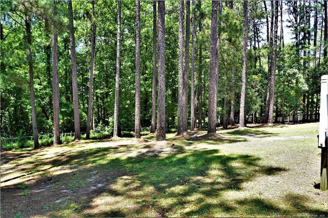 3541 Thamesford Rd, Fayetteville, NC 28311 - photo 25