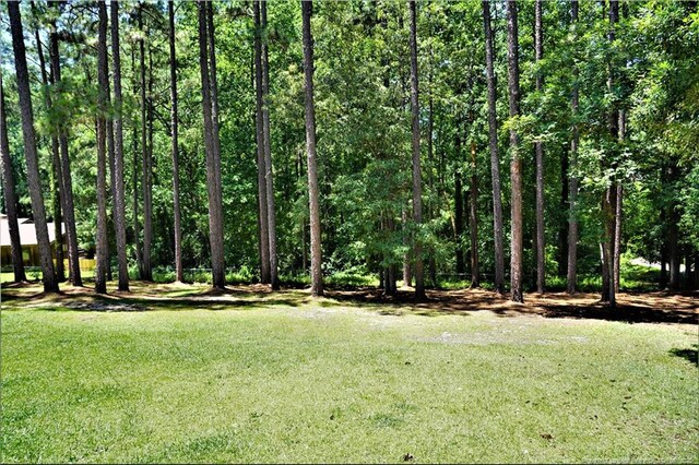 3541 Thamesford Rd, Fayetteville, NC 28311 - photo 26
