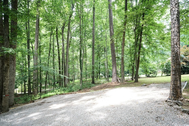 7216 Rabbit Run, Wake Forest, NC 27587 - view of yard featuring a forest view