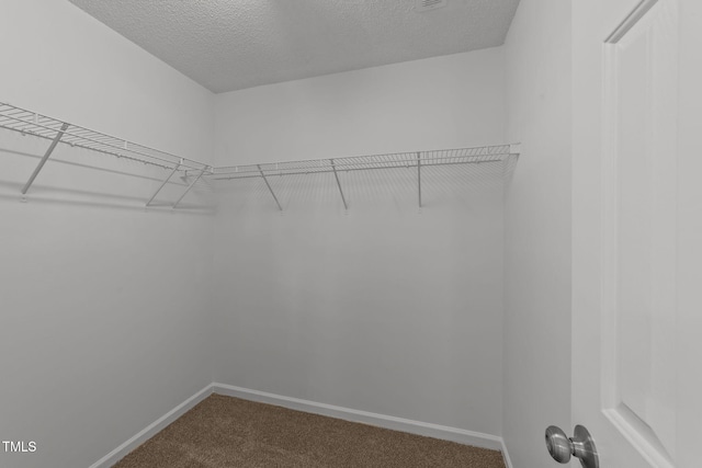 5819 Finestra Way, Raleigh, NC 27610 - photo 27