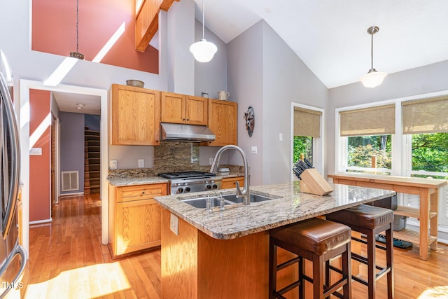 28 Benchmark, Pittsboro, NC 27312 - kitchen with high vaulted ceiling, under cabinet range hood, light wood-style floors, decorative backsplash, and light stone countertops