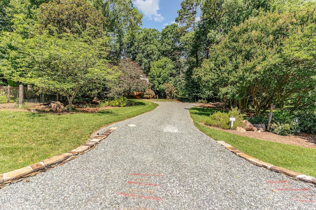 28 Benchmark, Pittsboro, NC 27312 - surrounding community