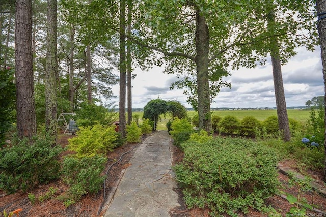 1064 Tresses Ct, Vass, NC 28394 - view of home's community