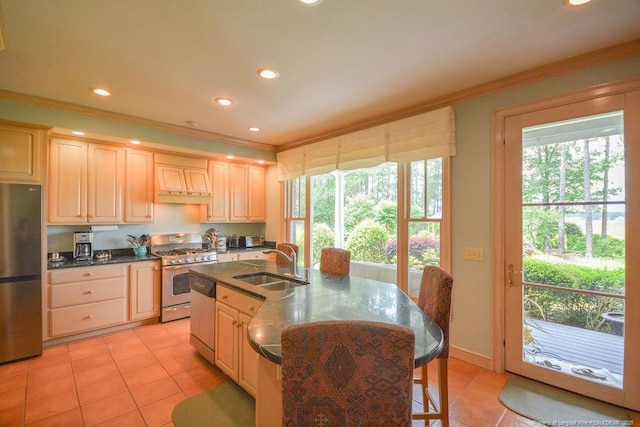1064 Tresses Ct, Vass, NC 28394 - kitchen with stainless steel appliances, ornamental molding, dark countertops, light tile patterned flooring, and healthy amount of natural light