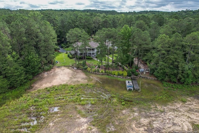 1064 Tresses Ct, Vass, NC 28394 - view of subject property featuring a heavily wooded area