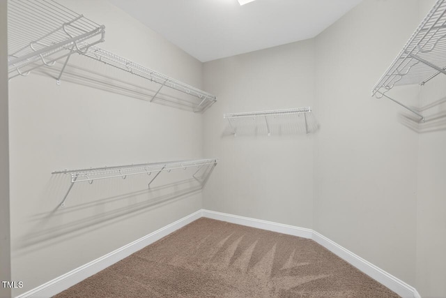 135 Shadow Hawk Dr, Durham, NC 27713 - photo 30