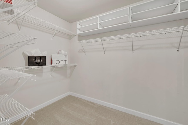 12028 Pawleys Mill Cir, Raleigh, NC 27614 - photo 33