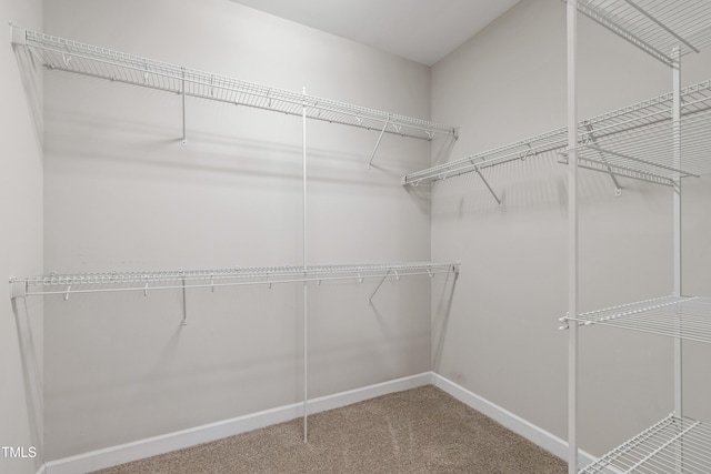 24 Windchime Ct, Clayton, NC 27527 - walk in closet with carpet flooring