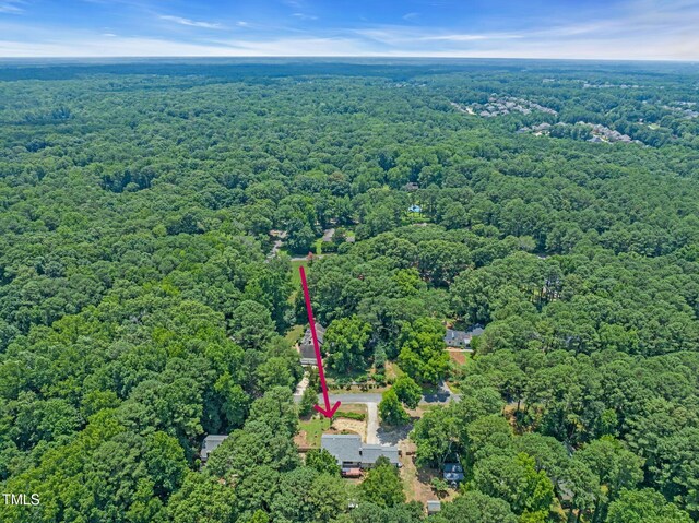 5209 Amsterdam Pl, Raleigh, NC 27606 - photo 40