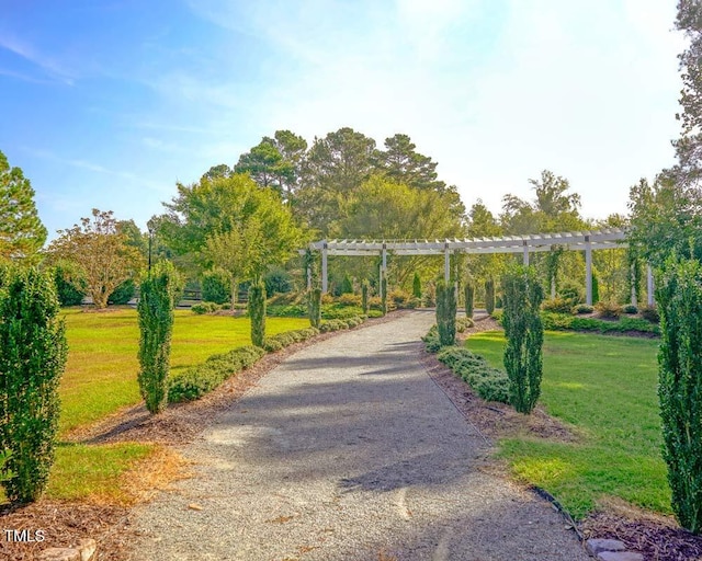119 Florentino Ct, Clayton, NC 27527 - surrounding community with a pergola, a lawn, and driveway