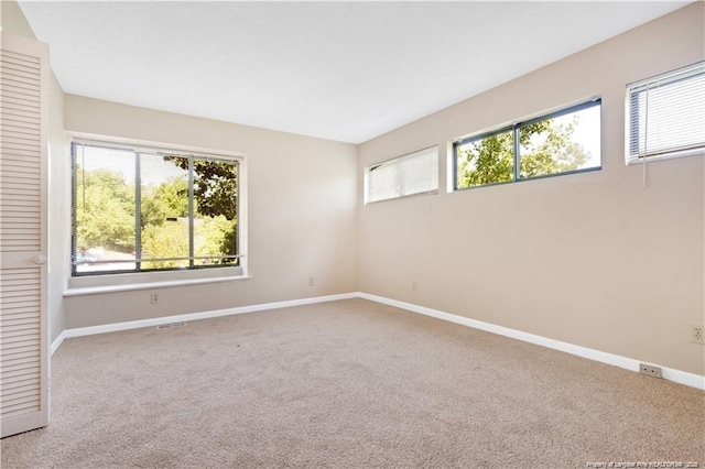 515 Cypress Trace Dr Unit 40, Fayetteville, NC 28314 - photo 14