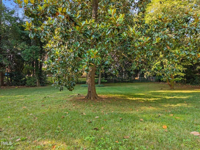 227 W Drewry Ln, Raleigh, NC 27609 - view of yard
