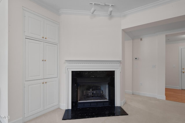 108-203 Northbrook Dr Unit 203, Raleigh, NC 27609 - detailed view of ornamental molding, carpet flooring, and a fireplace with flush hearth