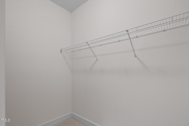 108-203 Northbrook Dr Unit 203, Raleigh, NC 27609 - walk in closet with carpet