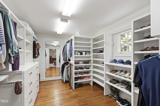 2707 Anderson Dr, Raleigh, NC 27608 - walk in closet featuring light wood-style flooring