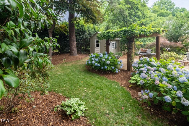2707 Anderson Dr, Raleigh, NC 27608 - view of green lawn featuring exterior kitchen and a shed