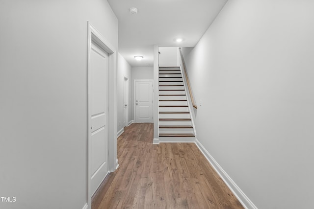 529 Forestville Rd, Wake Forest, NC 27587 - photo 6